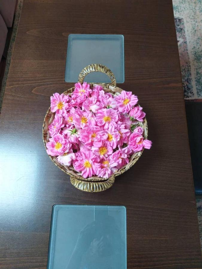 в с. габарево, долината на розите. Villa Gabarevo